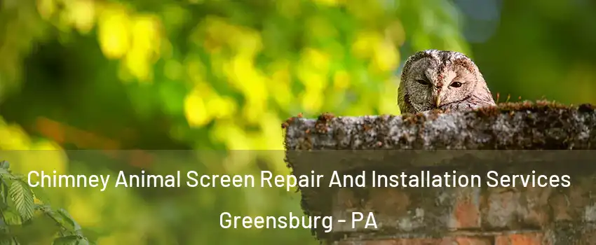  Chimney Animal Screen Repair And Installation Services Greensburg - PA