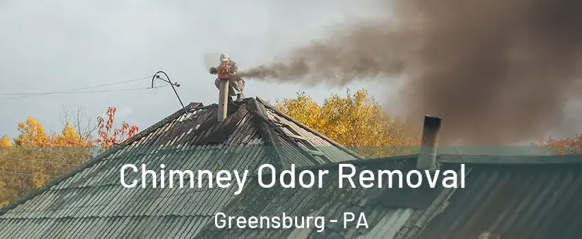  Chimney Odor Removal Greensburg - PA