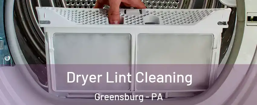  Dryer Lint Cleaning Greensburg - PA