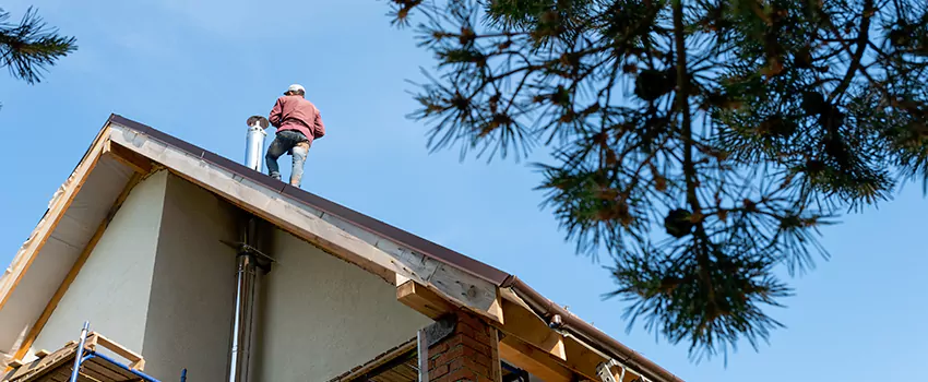 Birds Removal Contractors from Chimney in Greensburg, PA