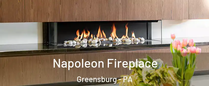  Napoleon Fireplace Greensburg - PA